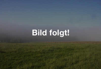 Bild folgt