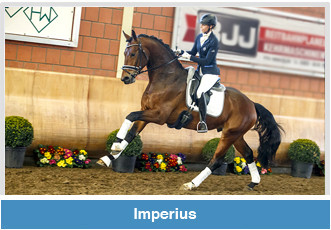 Kiefferhof: Imperius